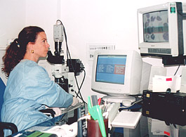 La direttrice dei Laboratori Clinical's mentre legge una formula Leucocitaria