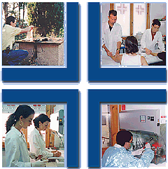 Laboratori Clinical's